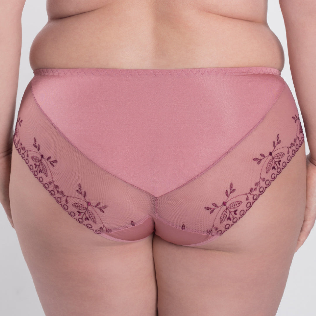 Sheer Mesh Tulle Embroidered Brief Panty Viola