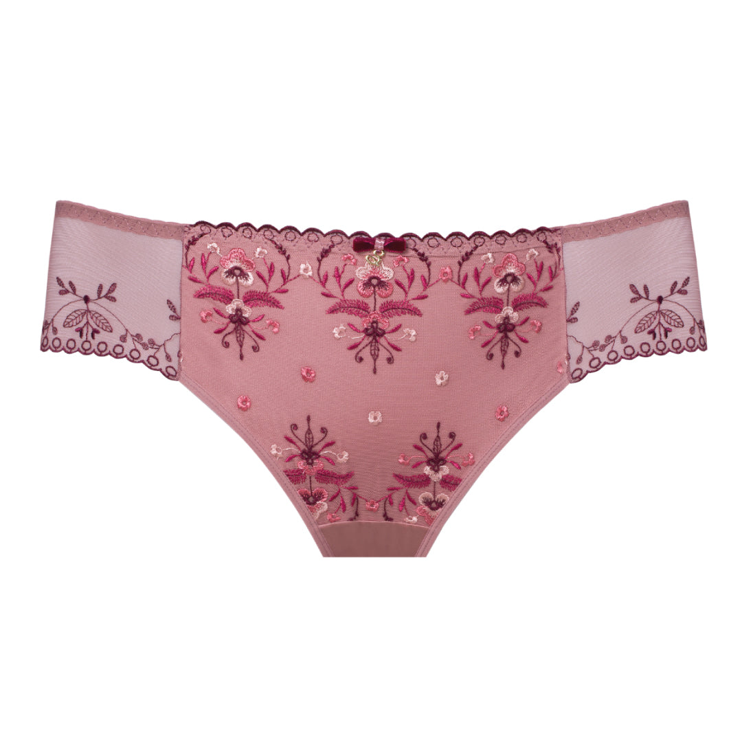 Sheer Mesh Tulle Embroidered Brief Panty Viola